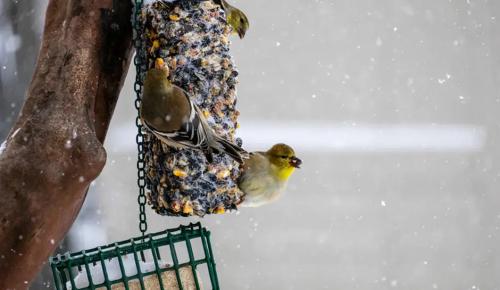 點擊在新窗口查看全圖