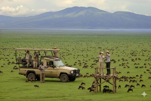 點擊在新窗口查看全圖