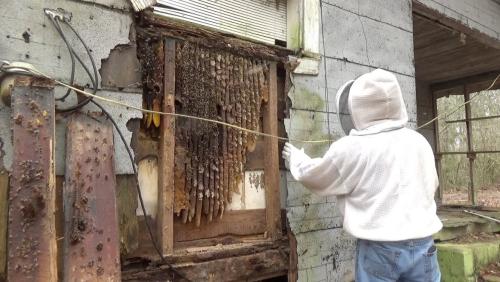 點擊在新窗口查看全圖