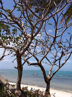 Zimbabwe Tourist Guide – Top Tourist Destinations Where to Go