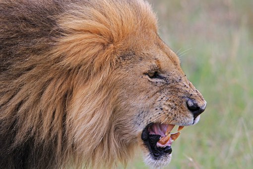 Victoria Falls Southern African Top Destinations