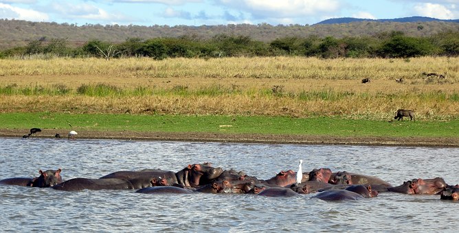 South Africa Luxury Holidays- Explore The Rainbow Nation