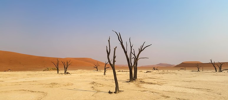 Holidays In South Africa