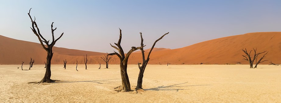 The place of african values