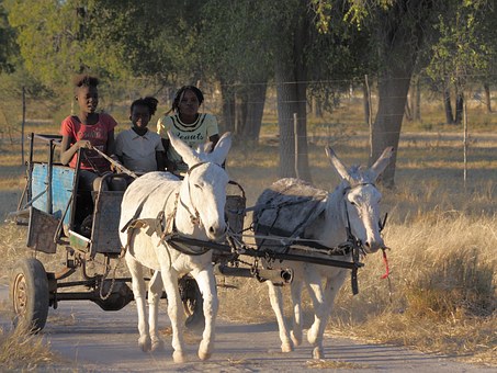 Boost Up Your Traveling Sagacity By Visiting, Dakar Senegal
