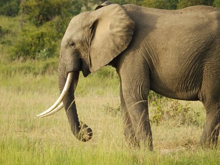 Namibia Travel And Tours