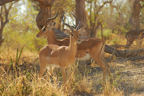 South Africa As A Back-Packing Destination