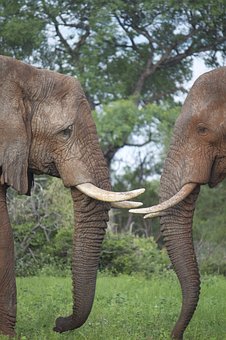 Cheap Flight Deals For African Destinations