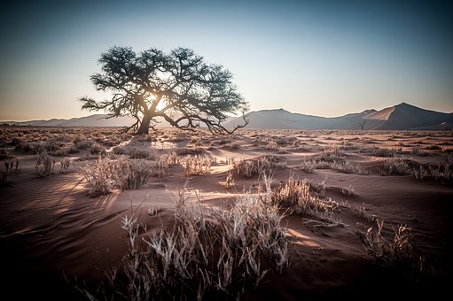 Different Trips in Southern Africa