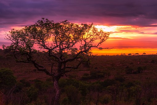 Your Guide to Adventure Travels