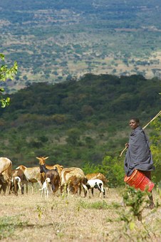 Reducing Poverty In Africa