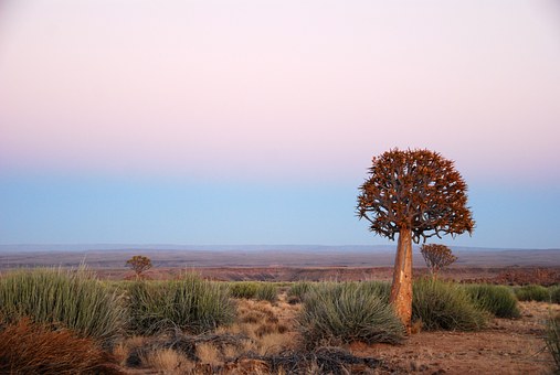 Unforgettable Holidays In Malawi!!!