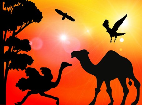 Are You Travelling to the World Cup This Year?