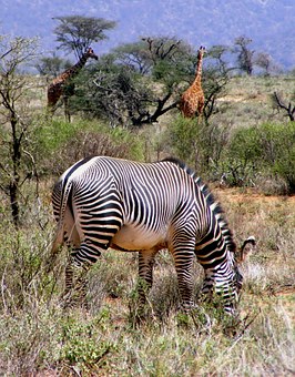 Explore South Africa Further With Luxury South Africa Holidays