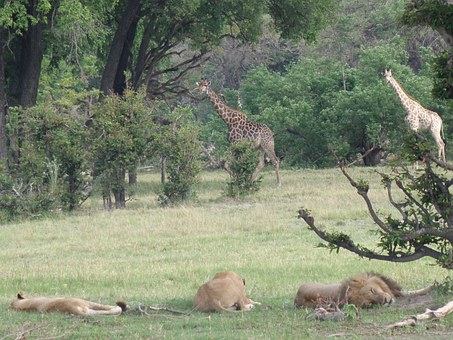 Important Travel Tips For Air Travellers To Nairobi