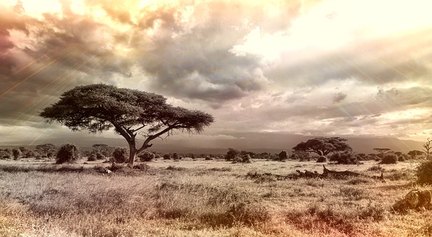 Bed And Breakfast Accommodation In South Africa