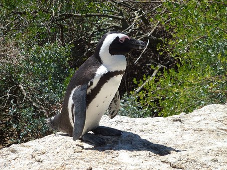 South Africa 2010 Is Here