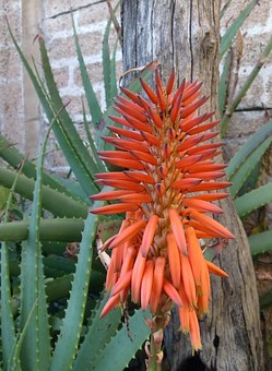 Geography, History & Canary Island Holidays