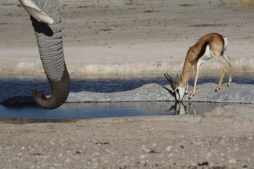 Take a spiritual trip in Southern Africa