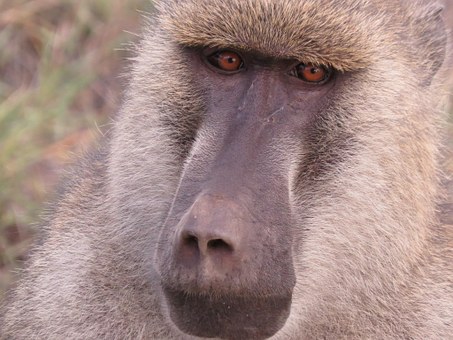 An Ultimate Trip Guide To Kenya