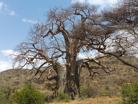 Luxury Train Travel In Africa