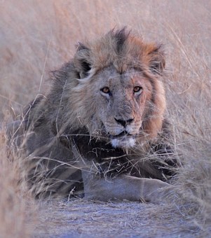 Globus Tours and Globus Vacations by:Jennifer Bailey