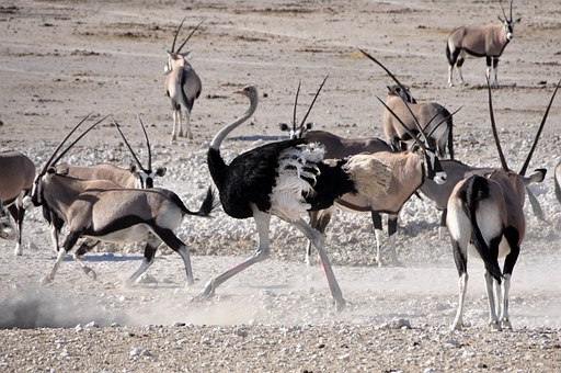 Sights Must To Visit On Your Travel To Australia With Flights To Perth