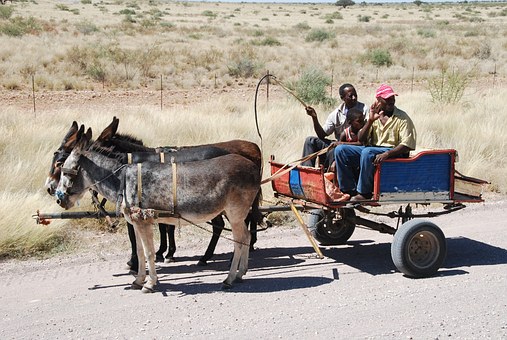 South Africa Abide The Able Accretion For The World Cup
