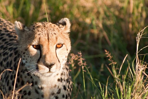 Sumptuous African Holidays In Malawi!!