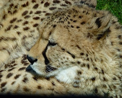 Visiting Malawi - What To Take pleasure In On Holiday