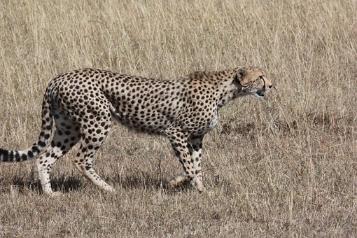 Cheap Tickets to Nigeria from London, UK