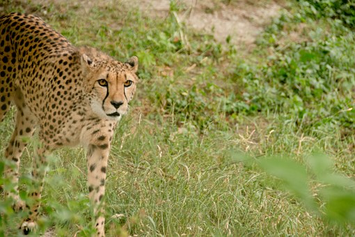 Top 5 African Adventure Destinations