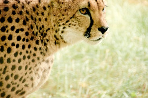 Great Summer Travel Destinations for Families
