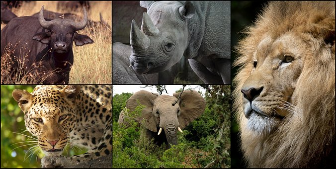 Tourism hotspots of 2010