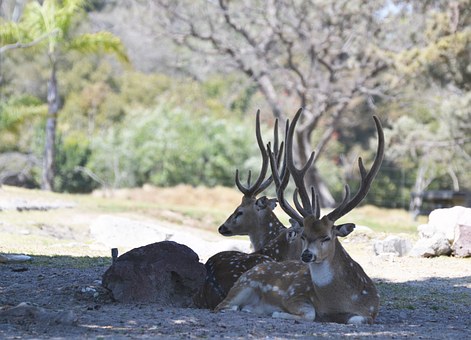 Check Out Fantastic Packages On Accommodations Trip Plans Gastronomic Treats And Flights Through Eco
