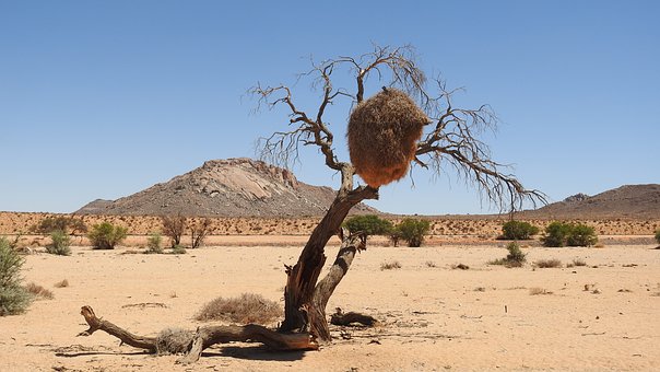 Five Wonderful South African Tours