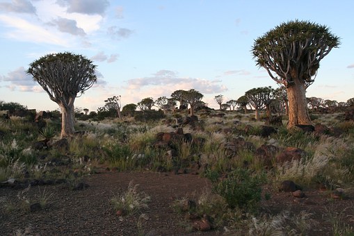 Explore South Africa Further With Luxury South Africa Holidays