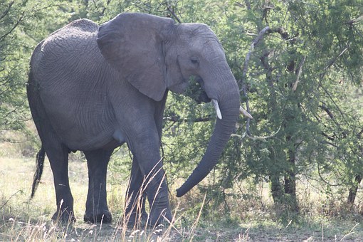 Luxury Holidays in South africa