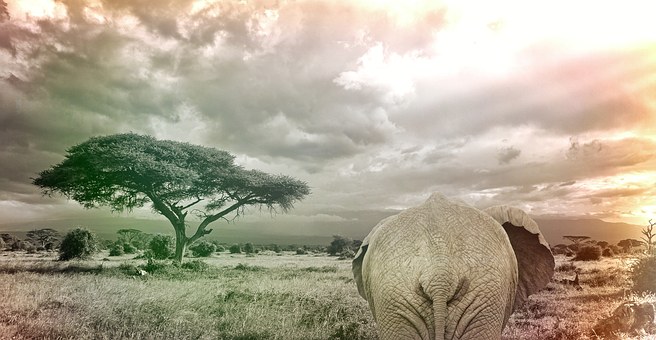 Take Several Glamorous And Excellent Travels Destinations Plus Sights Within The World