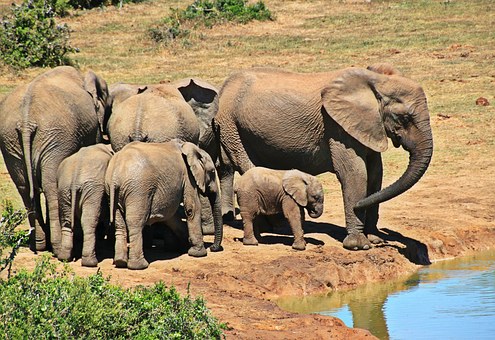 KwaZulu Natal Tour in Durban