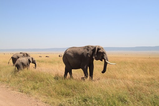 Recreate Yourself On A Vacation Through Flights To Harare With Low Price Tickets