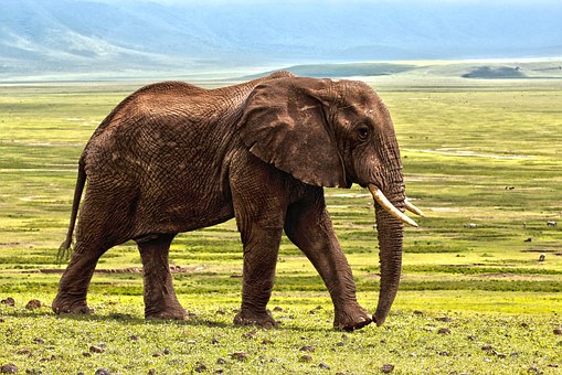 Take a spiritual trip in Southern Africa