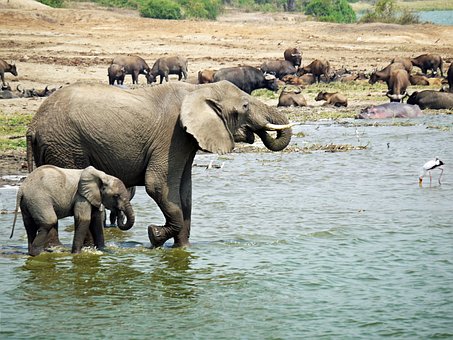 Travel to Africa: How Can You Make it Unforgettable and Worthwhile?