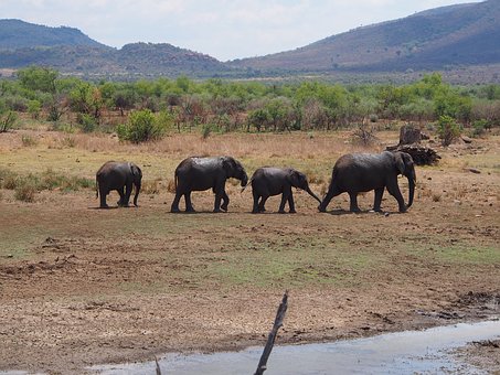 Kenya Wedding Safari Travel Information