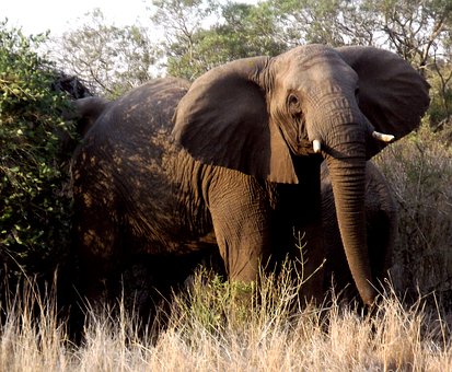 Cape Town holiday attractions