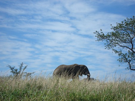 Flights To Johannesburg,durban ,cape Town(south Africa)