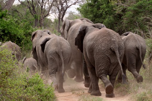 Responsible Tourism In Kenya
