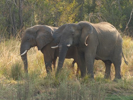 Zimbabwe Travel Guide! Places to Visit