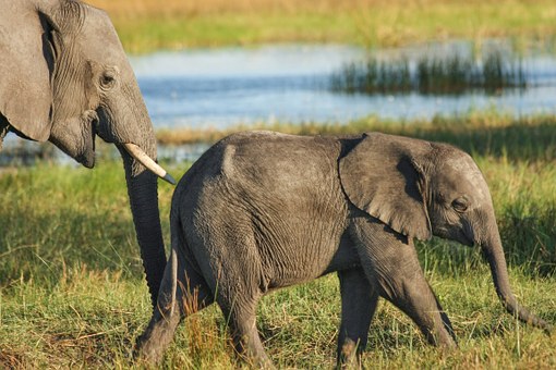 Top 10 reasons why escorted tours are proving popular