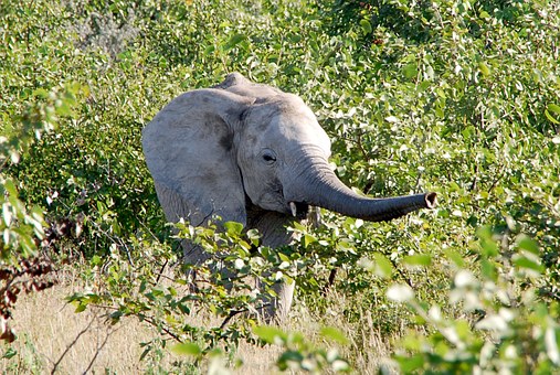 About Planning 4x4 South Africa Tours